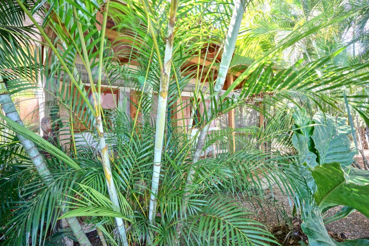 Calamocha Lodge Playa Santa Teresa  Exterior foto